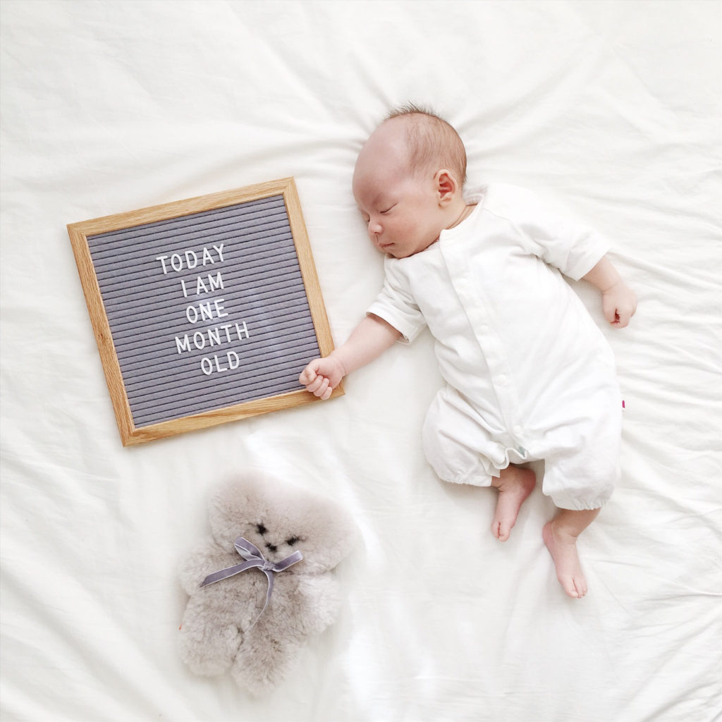 マンスリーフォト