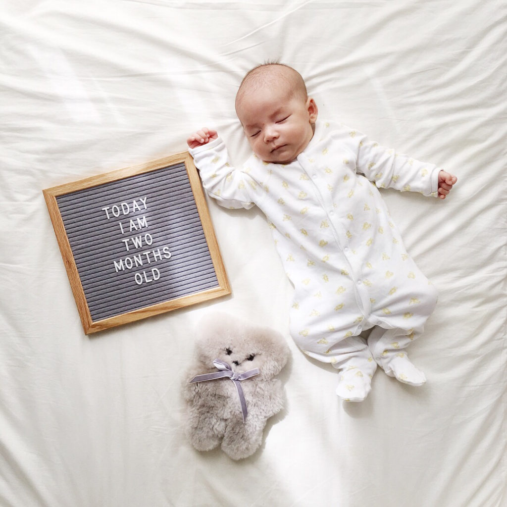 マンスリーフォト